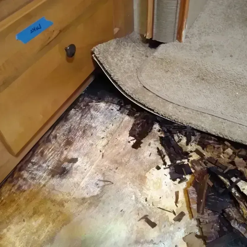 Wood Floor Water Damage in Adams, WI